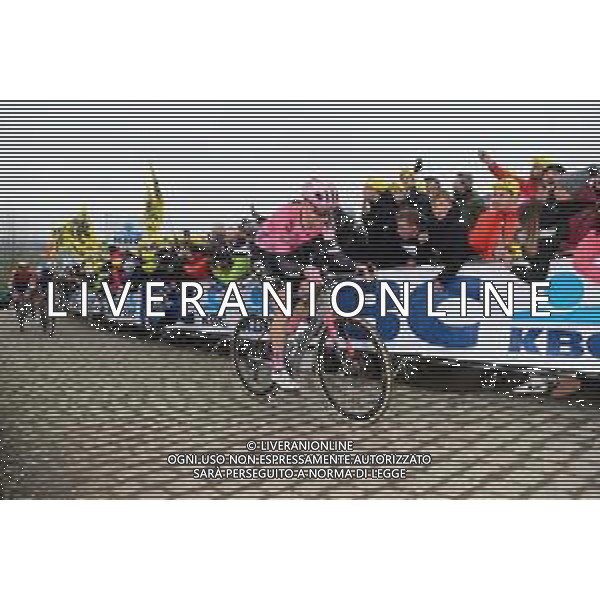 02-04-2023 Tour Des Flandres; 2023, Ef Education - Easypost; Powless, Neilson; Paterberg; ©SIROTTI / AGENZIA ALDO LIVERANI SAS