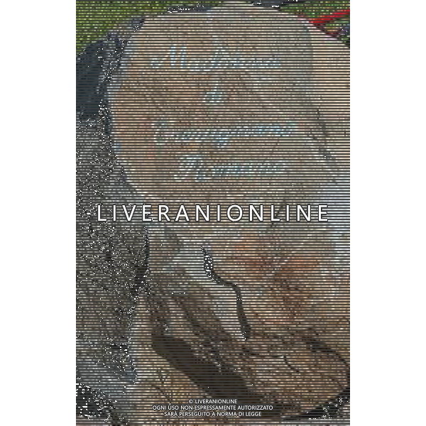 SANTUARIO TREVIGNANO ROMANO ATTESA DELLA PRESUNTA VEGGENTE GISELLA CARDIA PER L\'APPARIZIONE E MESSAGGIO DELLA MADONNA CHE PIANGE, 03.04.2023 NELLAA FOTO I PELLEGRINI ©GIANDOMENICO SALE / AGENZIA ALDO LIVERANI SAS