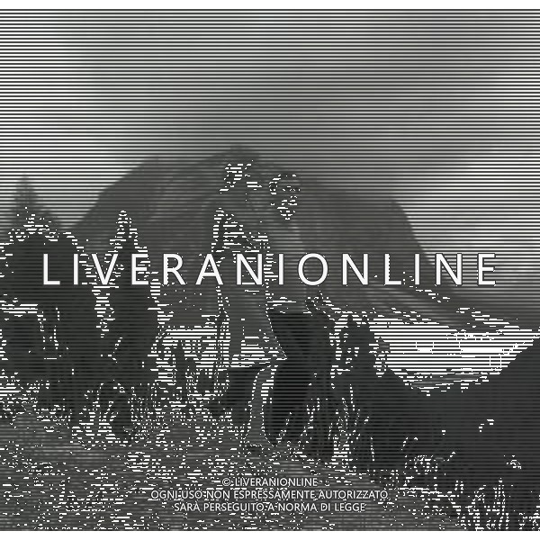 RETROSPETTIVA ALBERTO LUPO ATTORE NELLA FOTO ALBERTO LUPO NELL\'ANNO 1964 A CORTINA D\'AMPEZZO CON LA MOGLIE LYLA ROCCO AG ALDO LIVERANI SAS 