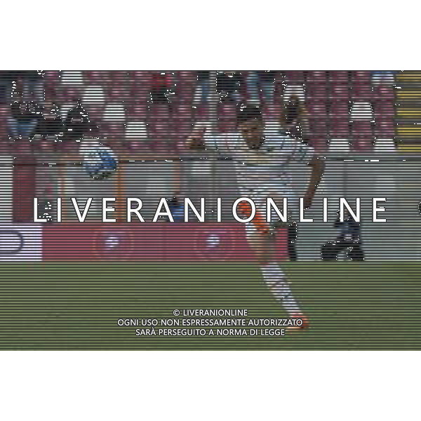 Stadio Oreste Granillo Serie B 2022-2023 Reggina-Venezia In foto: Andrea Carboni ©Andrea Rosito / AGENZIA ALDO LIVERANI SAS