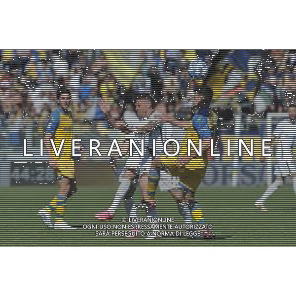 Frosinone vs Ascoli Campionato Serie B - 32 Giornata - Stadio B.Stirpe - Frosinone 10-04-2023 nella foto Buchel e Mazzitelli ©Federico Gaetano / AGENZIA ALDO LIVERANI SAS