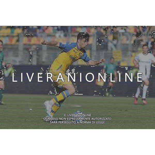 Frosinone vs Ascoli Campionato Serie B - 32 Giornata - Stadio B.Stirpe - Frosinone 10-04-2023 nella foto Luca Moro ©Federico Gaetano / AGENZIA ALDO LIVERANI SAS
