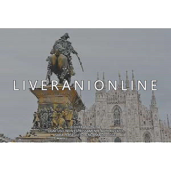 TVRG Monumento imbrattato piazza Duomo Milano 13-04-2023 Il monumento in piazza Duomo e dedicato a Vittorio Emanuele II imbratttao con la vernice foto Roberto Garavaglia/ag. Aldo Liverani sas/ AGENZIA ALDO LIVERANI SAS