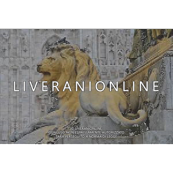 TVRG Monumento imbrattato piazza Duomo Milano 13-04-2023 Il monumento in piazza Duomo e dedicato a Vittorio Emanuele II imbratttao con la vernice foto Roberto Garavaglia/ag. Aldo Liverani sas/ AGENZIA ALDO LIVERANI SAS