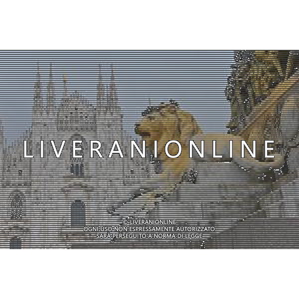 / AGENZIA ALDO LIVERANI SAS