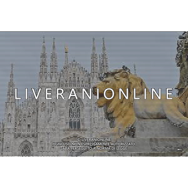 TVRG Monumento imbrattato piazza Duomo Milano 13-04-2023 Il monumento in piazza Duomo e dedicato a Vittorio Emanuele II imbratttao con la vernice foto Roberto Garavaglia/ag. Aldo Liverani sas/ AGENZIA ALDO LIVERANI SAS