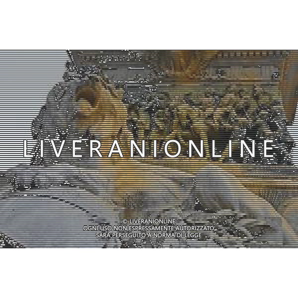 TVRG Monumento imbrattato piazza Duomo Milano 13-04-2023 Il monumento in piazza Duomo e dedicato a Vittorio Emanuele II imbratttao con la vernice foto Roberto Garavaglia/ag. Aldo Liverani sas/ AGENZIA ALDO LIVERANI SAS