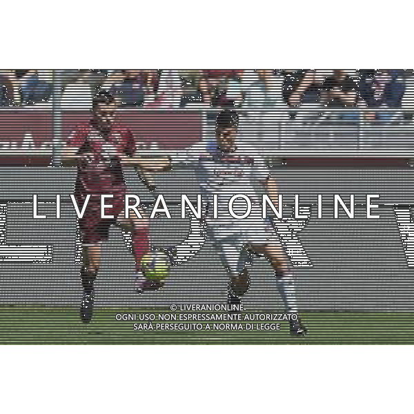 TVMV-Torino 16.04.2023 Stadio Grande Torino © Manuela Viganti/Agenzia Aldo Liverani Torino vs Salernitana Campionato Calcio Serie A TIM 2022/2023 30a giornata Nella foto: nemanja radonjic e flavius daniliuc ©Viganti / AGENZIA ALDO LIVERANI SAS