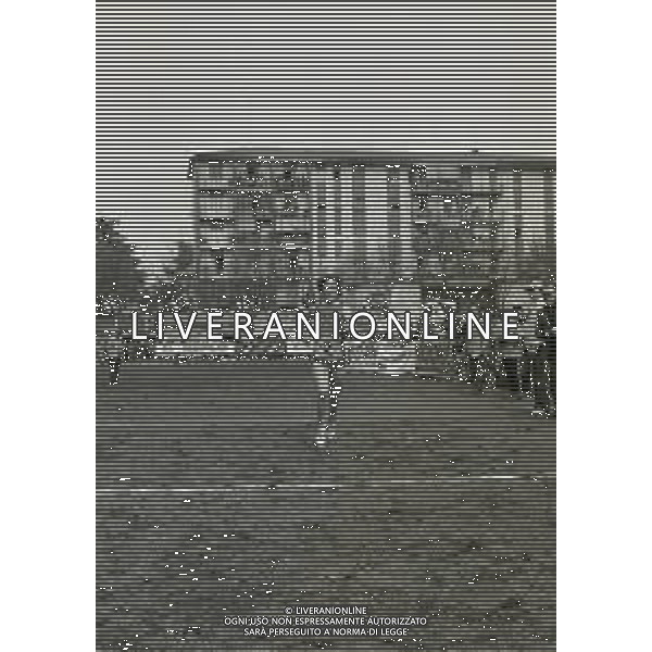 RETROSPETTIVA AGNESE POSSAMAI ATLETA NELLA FOTO AGNESE POSSAMAI ALLA 5 MULINI NELL\'ANNO 1982  AG ALDO LIVERANI SAS  