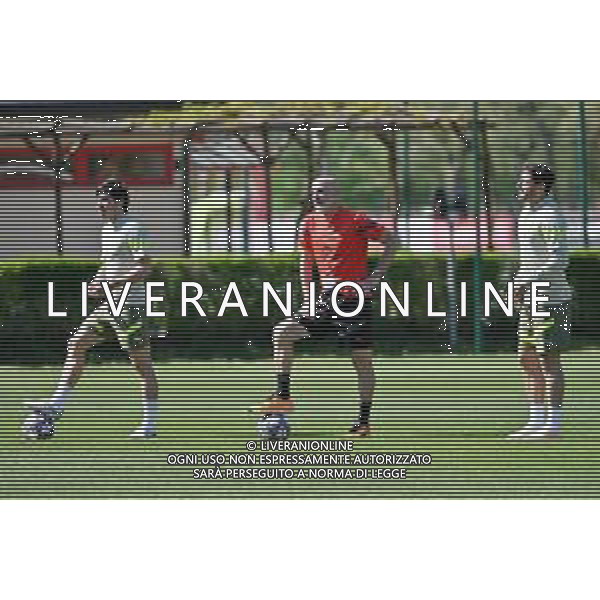 TVRG Allenamento Milan nella foto da SX Sandro Tonali (Milan), Stefano Pioli allenatore Milan e Davide Calabria (Milan) Carnago (VA) 17-04-2023 Centro sportivo Milanello Allenamento Milan in preparazione della gara di ritorno contro il Napoli valevole per i quarti di finale della UEFA Champions League foto Roberto Garavaglia/ag. Aldo Liverani sas