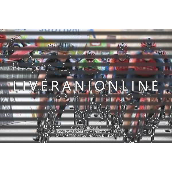 20-04-2023 Tour Of The Alps; Tappa 04 Rovereto - Predazzo; 2023, Ineos Grenadiers; Geoghegan, Hart Tao; Predazzo; ©SIROTTI / AGENZIA ALDO LIVERANI SAS
