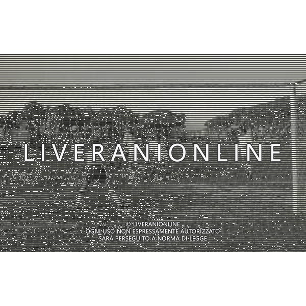 1983 VIAREGGIO STADIO DEI PINI-FINALE DEL TORNEO DI VIAREGGIO ROMA- INTER 2-0 NELLA FOTO AZIONE DI GIOCO AG ALDO LIVERANI SAS