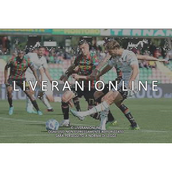 Ternana vs Venezia Campionato Serie B - 34 Giornata - Stadio Liberati - Terni 23-04-2023 nella foto Favilli e Svoboda ©Federico Gaetano / AGENZIA ALDO LIVERANI SAS