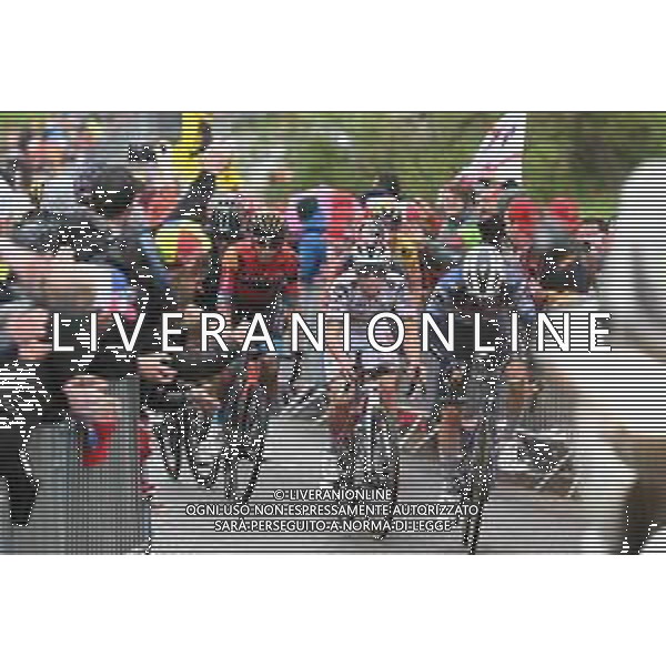 23-04-2023 Liege - Bastogne - Liege; 2023, Soudal - Quickstep; Evenepoel, Remco; Van Wilder, Ilan; La Redoute; ©SIROTTI / AGENZIA ALDO LIVERANI SAS
