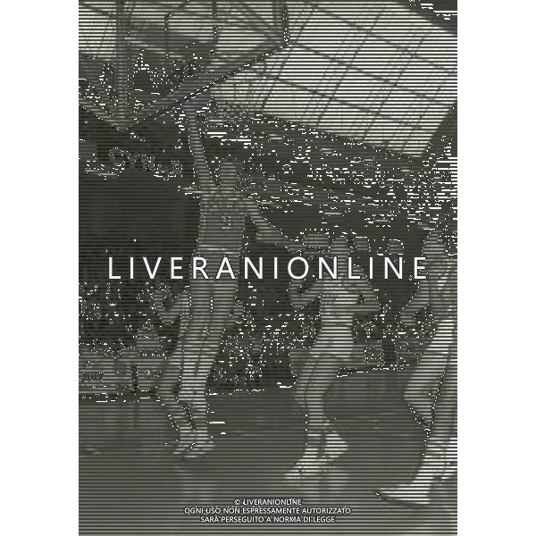 05-11-1978 MILANO CAMPIONATO DI BASKET SERIE A1 BILLY MILANO-EMERSON VARESE 77-68 NELLA FOTO BOB MORSE AG ALDO LIVERANI SAS