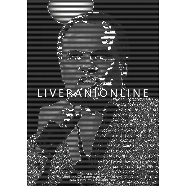 RETROSPETTIVA HARRY BELAFONTE CANTANTE NELLA FOTO HARRY BELAFONTE NELL\'ANNO 1989 AG ALDO LIVERANI SAS