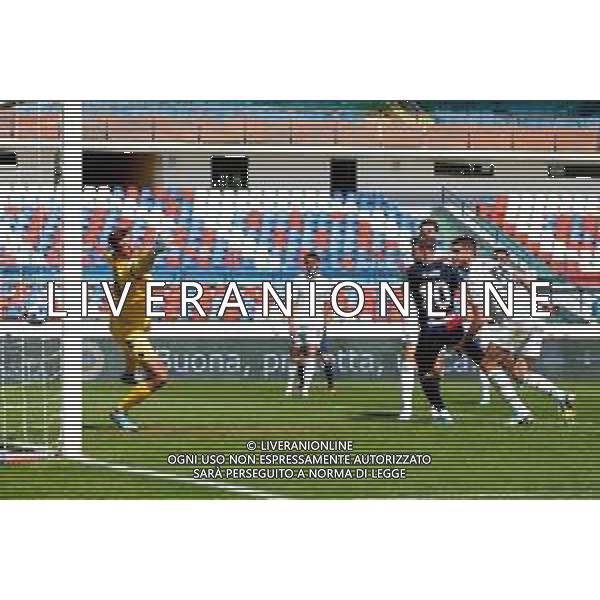Stadio San Vito-Marulla-Cosenza Serie B 2022-2023 Cosenza-Venezia In foto: Gol D\'Urso FOTO ANDREA ROSITO-AG ALDO LIVERANI SAS