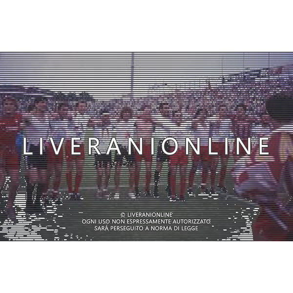 16-06-1991 CREMONA CAMPIONATO DI CALCIO SERIE B CREMONESE-AVELLINO NELLA FOTO I GIOCATORI DELLA CREMONESE FESTEGGIANO LA PROMOZIONE IN SERIE A AG ALDO LIVERANI SAS