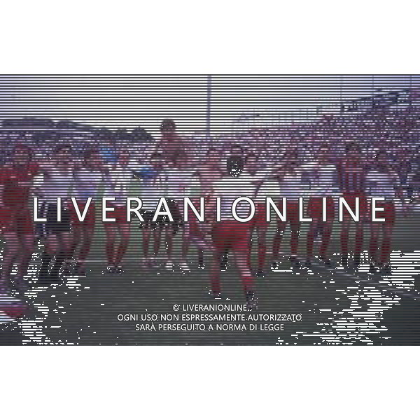 16-06-1991 CREMONA CAMPIONATO DI CALCIO SERIE B CREMONESE-AVELLINO NELLA FOTO I GIOCATORI DELLA CREMONESE FESTEGGIANO LA PROMOZIONE IN SERIE A AG ALDO LIVERANI SAS