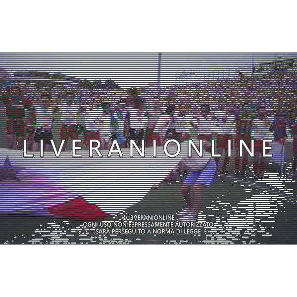 16-06-1991 CREMONA CAMPIONATO DI CALCIO SERIE B CREMONESE-AVELLINO NELLA FOTO I GIOCATORI DELLA CREMONESE FESTEGGIANO LA PROMOZIONE IN SERIE A AG ALDO LIVERANI SAS