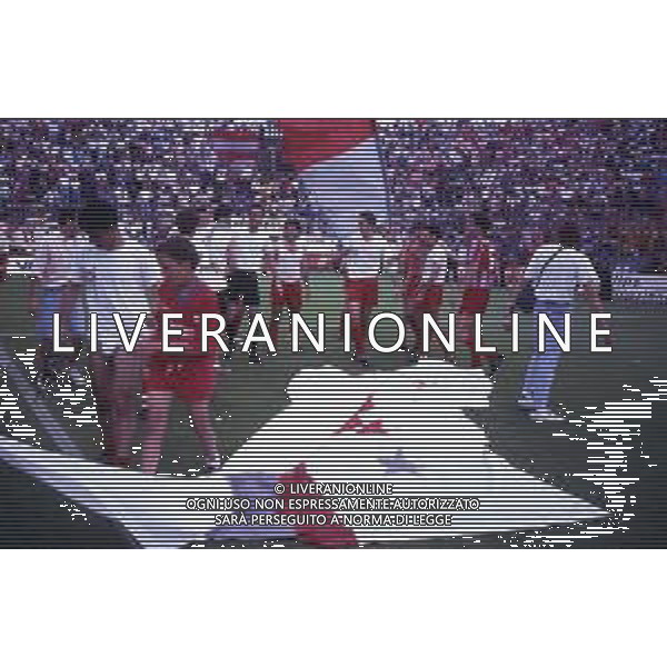 16-06-1991 CREMONA CAMPIONATO DI CALCIO SERIE B CREMONESE-AVELLINO NELLA FOTO I GIOCATORI DELLA CREMONESE FESTEGGIANO LA PROMOZIONE IN SERIE A AG ALDO LIVERANI SAS