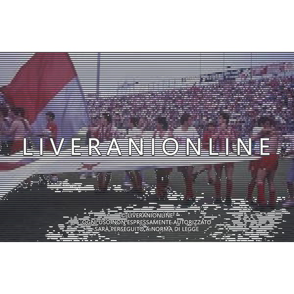 16-06-1991 CREMONA CAMPIONATO DI CALCIO SERIE B CREMONESE-AVELLINO NELLA FOTO I GIOCATORI DELLA CREMONESE FESTEGGIANO LA PROMOZIONE IN SERIE A AG ALDO LIVERANI SAS