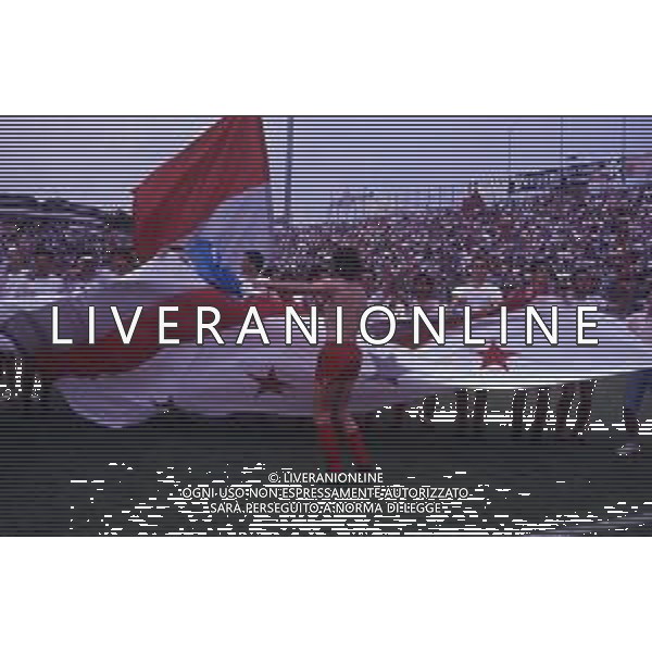 16-06-1991 CREMONA CAMPIONATO DI CALCIO SERIE B CREMONESE-AVELLINO NELLA FOTO I GIOCATORI DELLA CREMONESE FESTEGGIANO LA PROMOZIONE IN SERIE A AG ALDO LIVERANI SAS