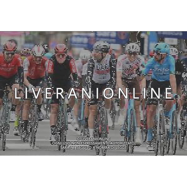 17-05-2023 Giro D\'italia; Tappa 11 Camaiore - Tortona; 2023, Uae Emirates; Ulissi, Diego; Tortona; ©SIROTTI / AGENZIA ALDO LIVERANI SAS
