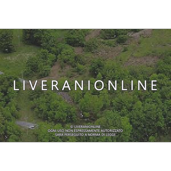 Frane e smottamenti sulle colline nelle vicinanze di Casteldelci in Provincia di Rimini dopo il maltempo che ha causato le inondazioni in Emilia Romagna, 18.08.2023 ©Zamagni Caludio / AGENZIA ALDO LIVERANI SAS