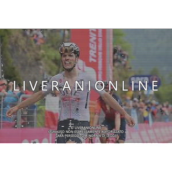 23-05-2023 Giro D\'italia; Tappa 16 Sabbio Chiese - Monte Bondone; 2023, Uae Emirates; Almeida, Joao; Monte Bondone; ©SIROTTI/AGENZIA ALDO LIVERANI SAS