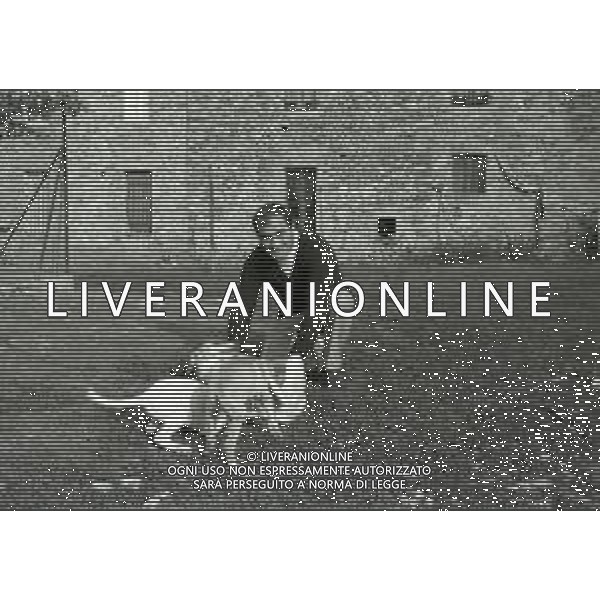 NEG-1972 SALSOMAGGIORE L\'EX PUGILE GIANCARLO GARBELLI NELLA SUA TENUTA DI CAMPAGNA TRA AGRICOLTURA E DOVE DIPINGE QUADRI AG ALDO LIVERANI SAS