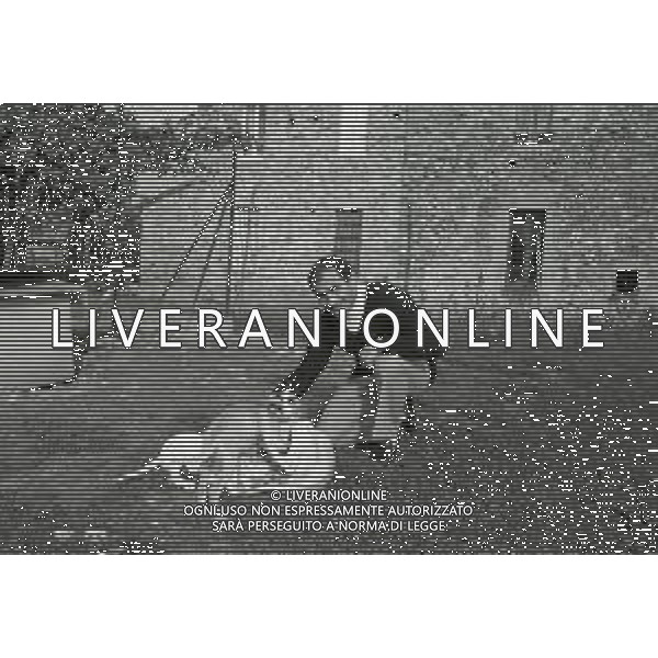 NEG-1972 SALSOMAGGIORE L\'EX PUGILE GIANCARLO GARBELLI NELLA SUA TENUTA DI CAMPAGNA TRA AGRICOLTURA E DOVE DIPINGE QUADRI AG ALDO LIVERANI SAS
