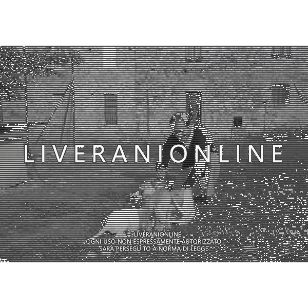 NEG-1972 SALSOMAGGIORE L\'EX PUGILE GIANCARLO GARBELLI NELLA SUA TENUTA DI CAMPAGNA TRA AGRICOLTURA E DOVE DIPINGE QUADRI AG ALDO LIVERANI SAS