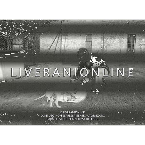NEG-1972 SALSOMAGGIORE L\'EX PUGILE GIANCARLO GARBELLI NELLA SUA TENUTA DI CAMPAGNA TRA AGRICOLTURA E DOVE DIPINGE QUADRI AG ALDO LIVERANI SAS