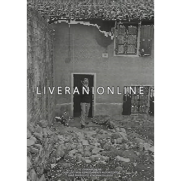 NEG-1972 SALSOMAGGIORE L\'EX PUGILE GIANCARLO GARBELLI NELLA SUA TENUTA DI CAMPAGNA TRA AGRICOLTURA E DOVE DIPINGE QUADRI AG ALDO LIVERANI SAS