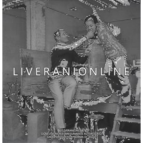NEG-1972 SALSOMAGGIORE L\'EX PUGILE GIANCARLO GARBELLI NELLA SUA TENUTA DI CAMPAGNA TRA AGRICOLTURA E DOVE DIPINGE QUADRI AG ALDO LIVERANI SAS