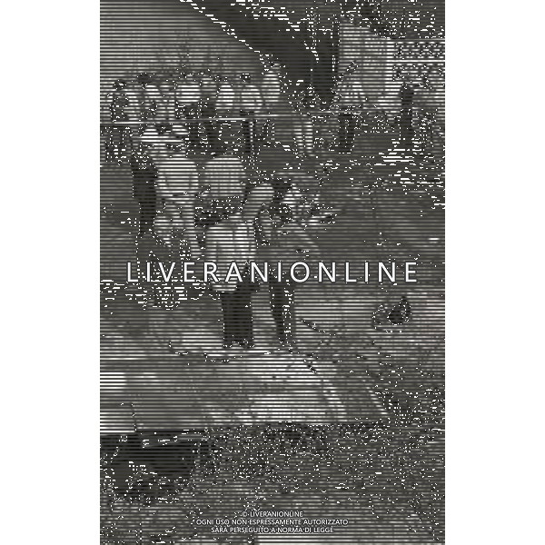 NEG-1980 BRESSO INCIDENTE AEREO CON 4 MORTI AG ALDO LIVERANI SAS