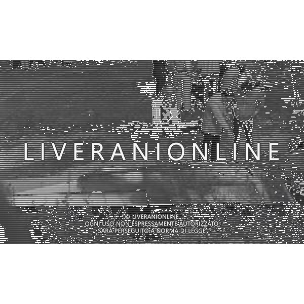 NEG-1980 BRESSO INCIDENTE AEREO CON 4 MORTI AG ALDO LIVERANI SAS