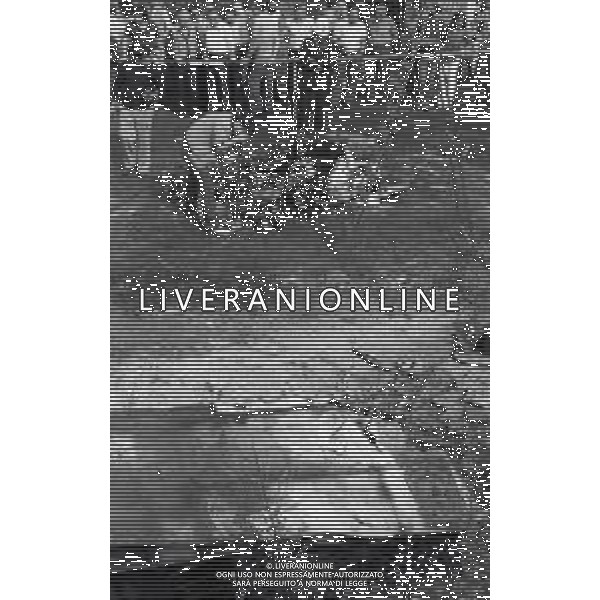 NEG-1980 BRESSO INCIDENTE AEREO CON 4 MORTI AG ALDO LIVERANI SAS
