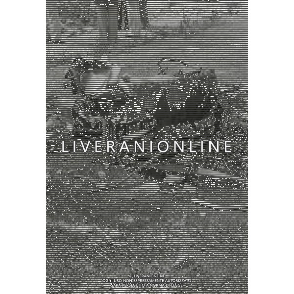 NEG-1980 BRESSO INCIDENTE AEREO CON 4 MORTI AG ALDO LIVERANI SAS