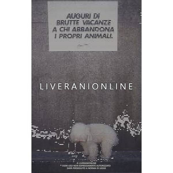 DIAP-1990 MILANO NON ABBANDONARE I CANI SCRITTE APPARSE SUI MURI DELLA CITTA\' DI MILANO PRIMA DELLE FERIE ESTIVE DEGLI ITALIANI AG ALDO LIVERANI SAS