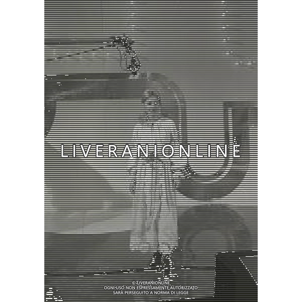 NEG-RETROSPETTIVA GABRIELLA FARINON ATTRICE NELLA FOTO GABRIELLA FARINON A STRESA NELL\'ANNO 1971 AL PREMIO BAGATTO D\'ORO AG ALDO LIVERANI SAS