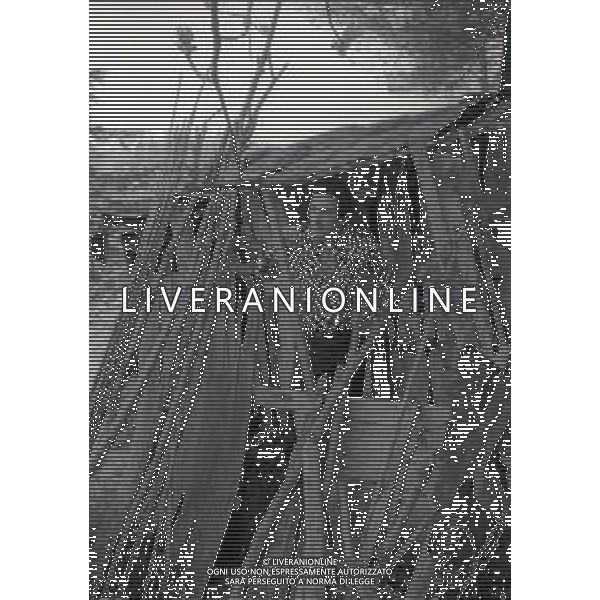 NEG-RETROSPETTIVA LUIGI VANNUCCHI ATTORE NELLA FOTO LUIGI VANNUCCHI A ROMA NELL\'ANNO 1970 AG ALDO LIVERANI SAS