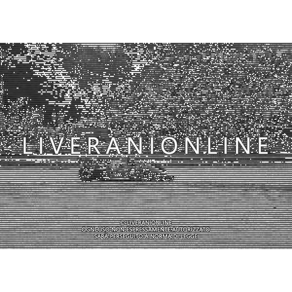 NEG- 11-09-1983 MONZA GRAN PREMIO D\'ITALIA F1 NELLA FOTO PATRICK TAMBAY AG ALDO LIVERANI SAS