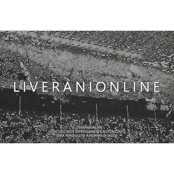 13-12-1993 MILANO CAMPIONATO DI CALCIO SERIE A INTER-SAMPDORIA 3-0 NELLA FOTO TIFOSI INTER AG ALDO LIVERANI SAS