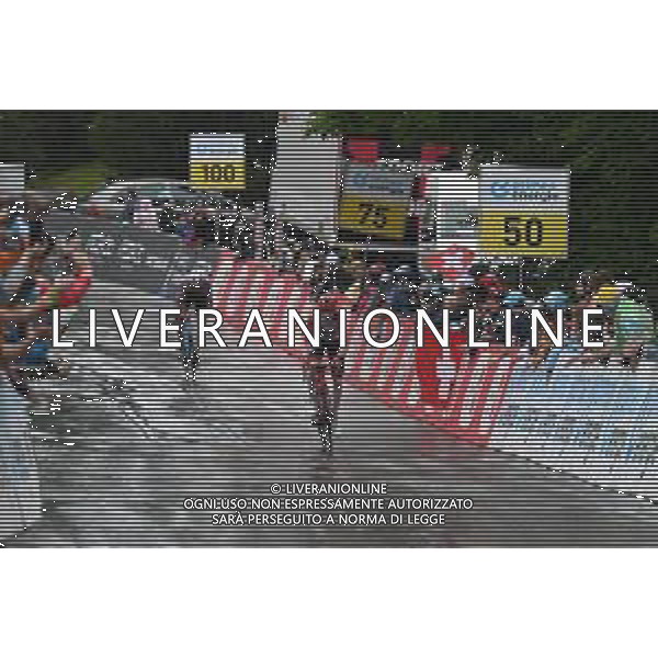 13-06-2023 Tour De Suisse; Tappa 03 Tafers - Villars Sur Ollon; 2023, Trek - Segafredo; Skjelmose Jensen, Mattias; Villars Sur Ollon; ©SIROTTI/AGENZIA ALDO LIVERANI SAS