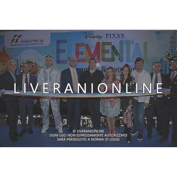 Roma 15/06/2023 Photocall del film Disney e Pixar " Elemental" NELLA FOT Mr. Rain, Mario Alovisi, Peter Sohn, Clio Zammatteo, Valentina Romani e Stefano De Martino Aldo Liverani s.a.s./Massimo Landucci 