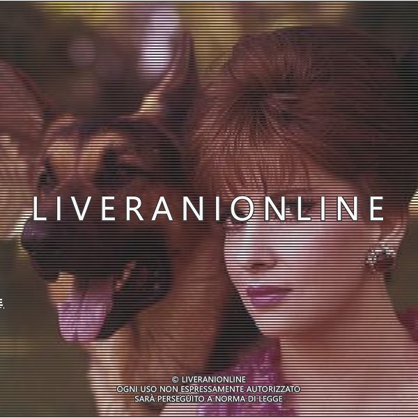 COL-RETROSPETTIVA GINA LOLLOBRIGIDA ATTRICE NELLA FOTO: GINA LOLLOBRIGIDA CON I SUOI CANI PH ARCHIVIO GIOVANNI LIVERANI / AGENZIA ALDO LIVERANI 