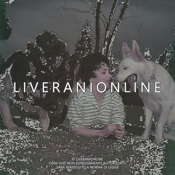 COL-RETROSPETTIVA GINA LOLLOBRIGIDA ATTRICE NELLA FOTO: GINA LOLLOBRIGIDA CON I SUOI CANI PH ARCHIVIO GIOVANNI LIVERANI / AGENZIA ALDO LIVERANI 