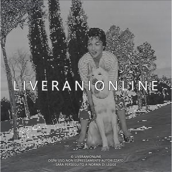 NEG-RETROSPETTIVA GINA LOLLOBRIGIDA ATTRICE NELLA FOTO: GINA LOLLOBRIGIDA CON I SUOI CANI PH ARCHIVIO GIOVANNI LIVERANI / AGENZIA ALDO LIVERANI